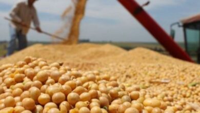 Soja: estiman que quedan entre u$s3.500 y u$s5.500 millones sin liquidar